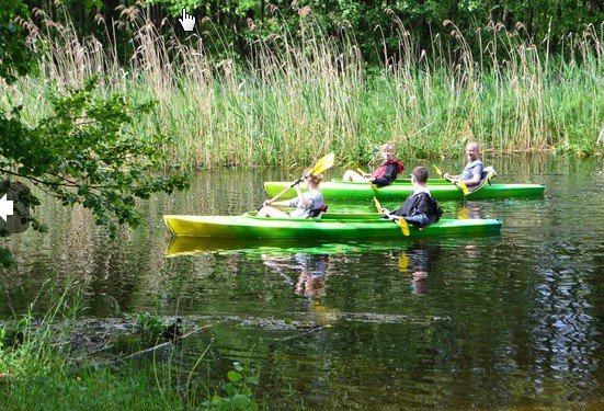 Cool Kayaks