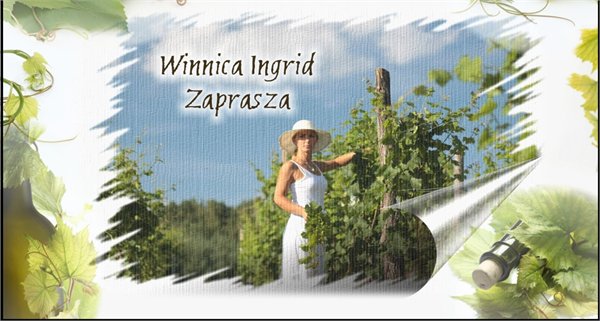 Winnica Ingrid יקב